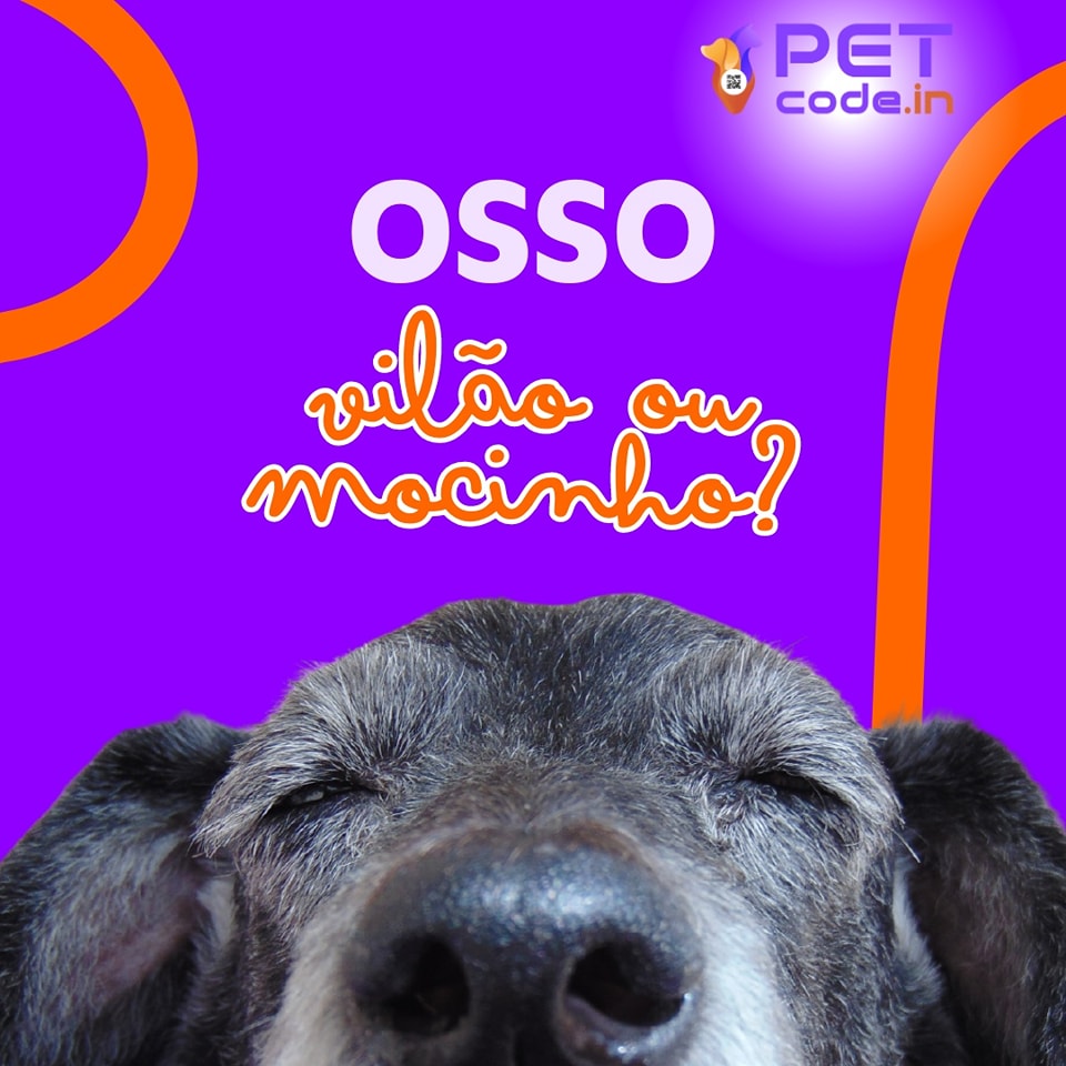 Osso, Vilão ou Mocinho para Pets?