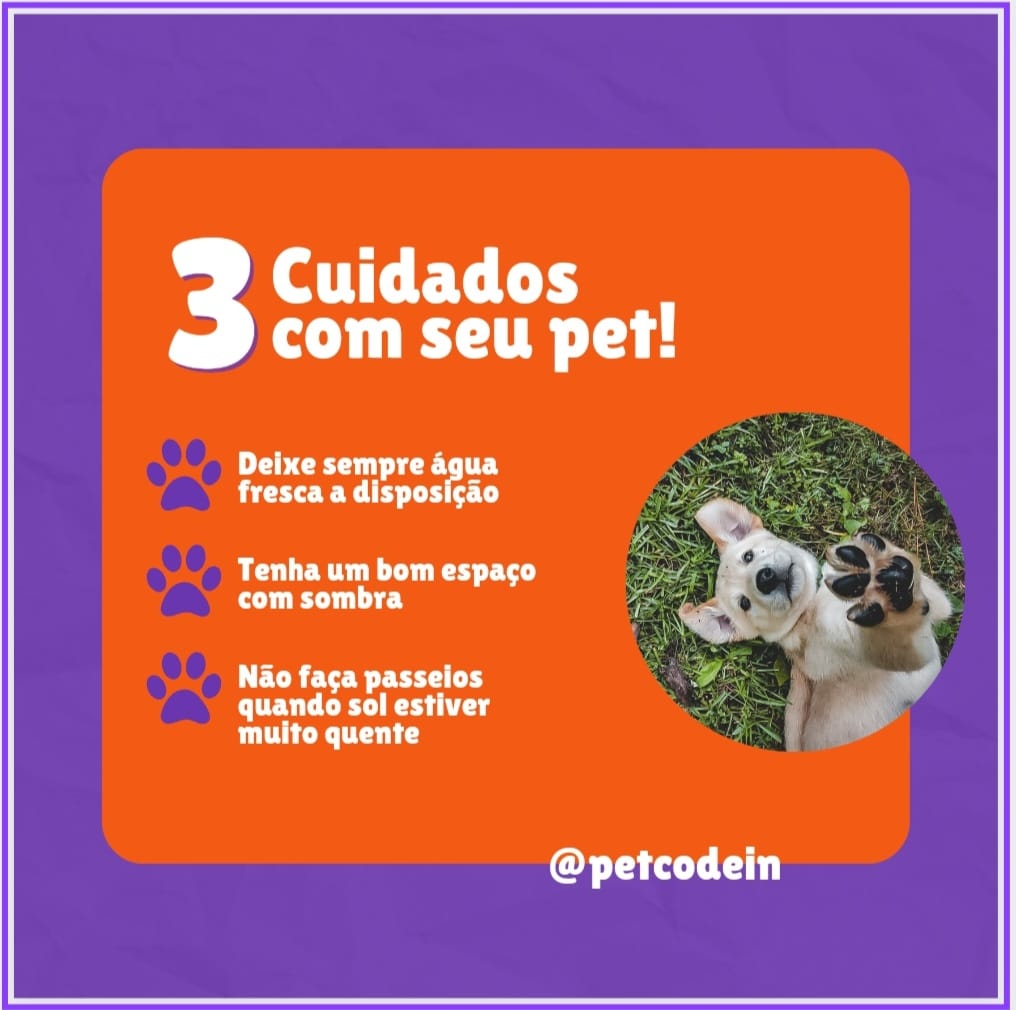 3 CUIDADOS COM SEU PET!