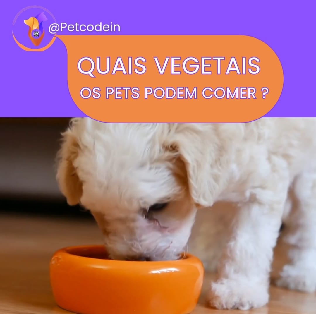 QUAIS VEGETAIS OS PETS PODEM COMER?